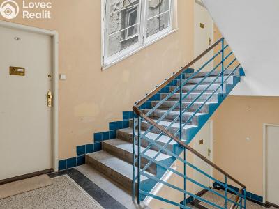 Rent apartment 1+KK Praha, Biskupcova č. 20