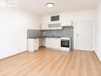 Продажа квартиры 1+1 Brno, Došlíkova č. 1
