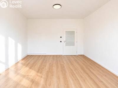 Продажа квартиры 1+1 Brno, Došlíkova č. 4
