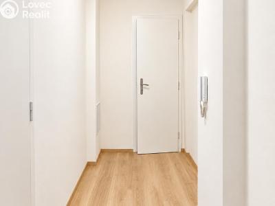 Продажа квартиры 1+1 Brno, Došlíkova č. 7