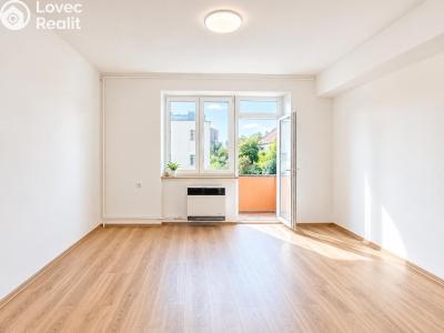 Prodej bytu 1+1 Brno, Došlíkova č. 2