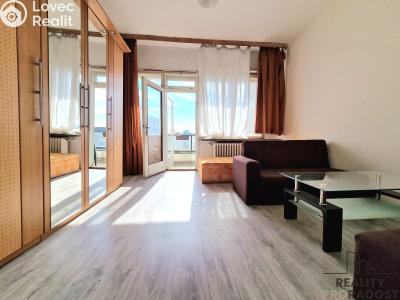 Rent apartment 1+KK Brno, Pekařská č. 1