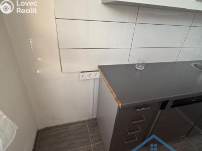 Rent apartment 4+1 Chomutov, Školní pěšina 5132 č. 2