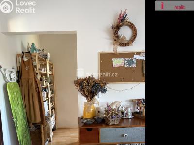 Rent apartment 1+KK Praha 6, Nová Šárka č. 5