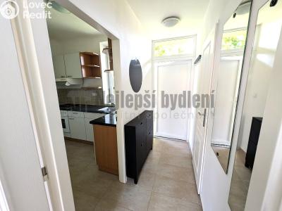 Продажа квартиры 1+1 Brno, Gallašova č. 2