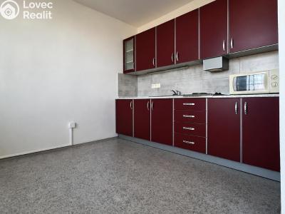 Rent apartment 1+1 Pardubice, Jindřišská 785 č. 1