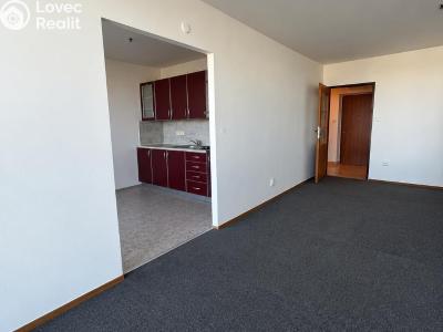 Rent apartment 1+1 Pardubice, Jindřišská 785 č. 2