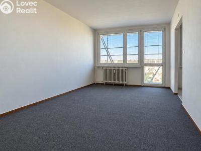 Rent apartment 1+1 Pardubice, Jindřišská 785 č. 3