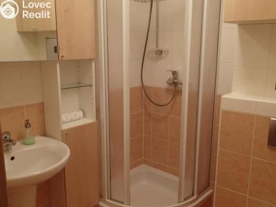 Rent apartment 4+KK Praha, Osadní č. 10