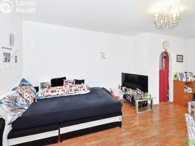 Rent apartment 2+KK Hostivice, Kmochova 1297 č. 15