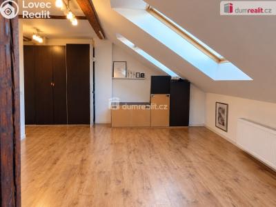 Rent apartment 1+KK Praha 5, Lidická č. 1