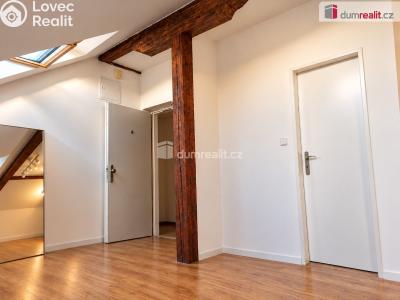 Rent apartment 1+KK Praha 5, Lidická č. 2