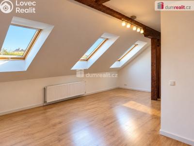 Rent apartment 1+KK Praha 5, Lidická č. 3
