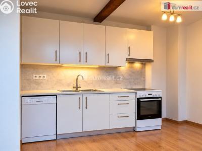 Rent apartment 1+KK Praha 5, Lidická č. 5