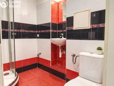Rent apartment 2+1 Hradec Králové, Průmyslová č. 14