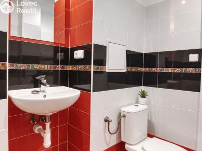 Rent apartment 2+1 Hradec Králové, Průmyslová č. 16