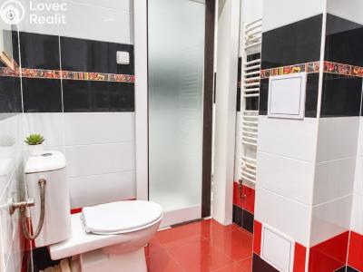 Rent apartment 2+1 Hradec Králové, Průmyslová č. 17