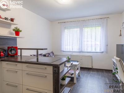 Продажа квартиры 2+KK Starý Plzenec, Herejkova č. 4