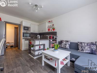 Продажа квартиры 2+KK Starý Plzenec, Herejkova č. 5