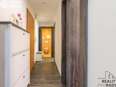 Продажа квартиры 2+KK Starý Plzenec, Herejkova č. 7