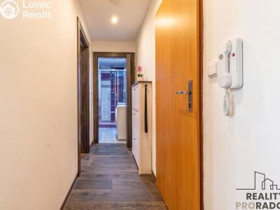Продажа квартиры 2+KK Starý Plzenec, Herejkova č. 8