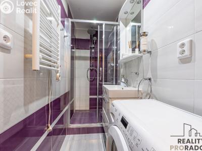 Продажа квартиры 2+KK Starý Plzenec, Herejkova č. 9