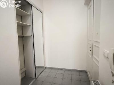 Rent apartment 3+KK Praha, Balbínova č. 14