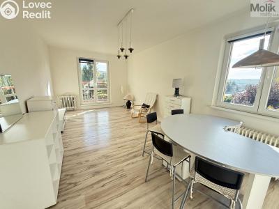 Rent apartment 2+1 Most, Jaroslava Vrchlického č. 1