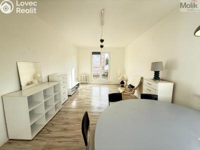 Rent apartment 2+1 Most, Jaroslava Vrchlického č. 2