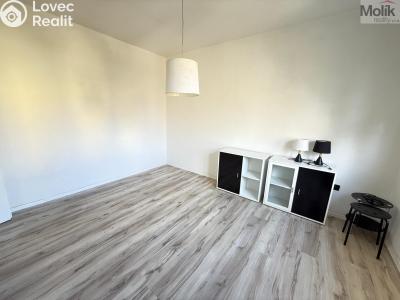 Rent apartment 2+1 Most, Jaroslava Vrchlického č. 3