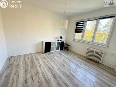 Rent apartment 2+1 Most, Jaroslava Vrchlického č. 4