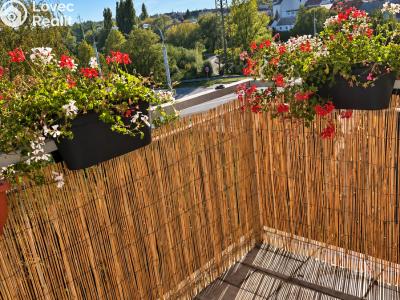 Rent apartment 2+KK Plzeň, Květná č. 4
