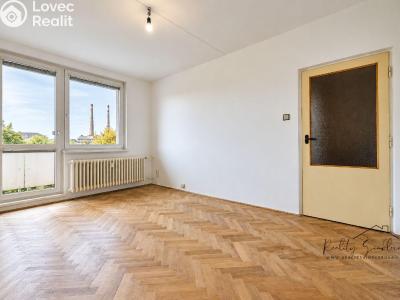 Sale apartment 2+1 Přerov, Velké Novosady č. 3