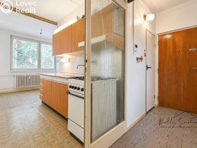 Sale apartment 2+1 Přerov, Velké Novosady č. 5
