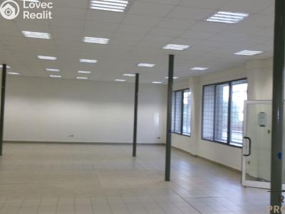 Prodej obchodního prostoru Brno, Vodní č. 3