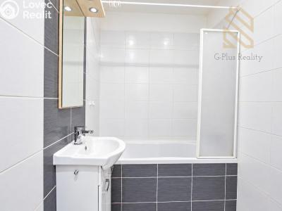 Prodej bytu 2+1 Krupka, Kollárova 567 č. 3