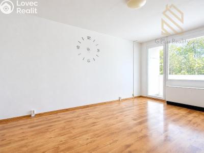 Prodej bytu 2+1 Krupka, Kollárova 567 č. 4