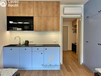 Rent apartment 1+KK Olomouc, Edmunda Husserla č. 1