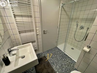 Rent apartment 1+KK Olomouc, Edmunda Husserla č. 10