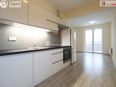 Rent apartment 2+KK Nová Role, Svobodova č. 1
