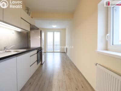 Rent apartment 2+KK Nová Role, Svobodova č. 6