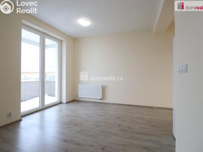 Rent apartment 2+KK Nová Role, Svobodova č. 9