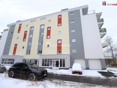 Rent apartment 2+KK Nová Role, Svobodova č. 17
