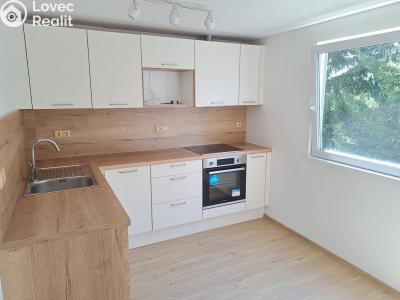 Rent apartment 3+1 Kamenný Přívoz č. 11