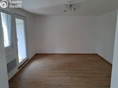 Rent apartment 3+1 Kamenný Přívoz č. 3