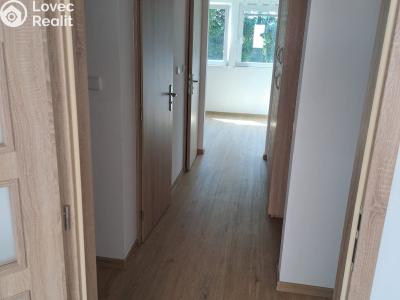 Rent apartment 3+1 Kamenný Přívoz č. 7
