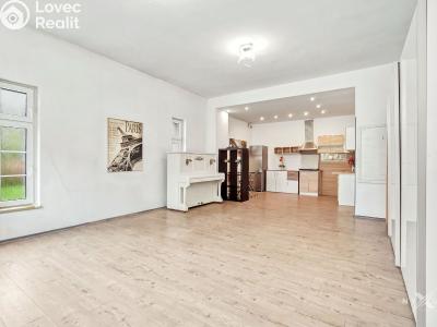 Rent apartment 1+KK Strančice, K Habrovci 378 č. 1