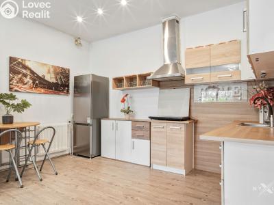 Rent apartment 1+KK Strančice, K Habrovci 378 č. 2