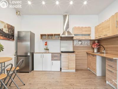 Rent apartment 1+KK Strančice, K Habrovci 378 č. 4