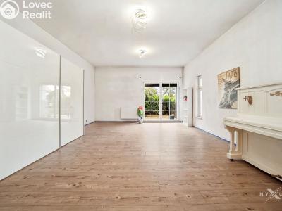 Rent apartment 1+KK Strančice, K Habrovci 378 č. 5